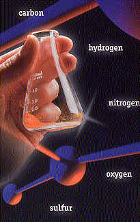 Brochure 
			Cover Image